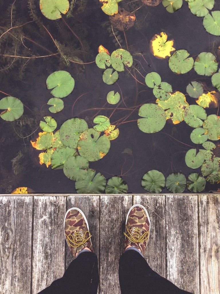 looking down into water from dock unsplash